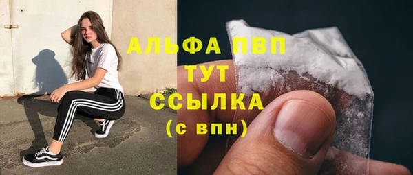прущие грибы Абинск