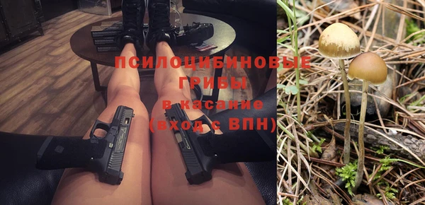 не бодяженный Абаза