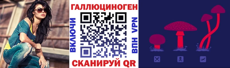Псилоцибиновые грибы Magic Shrooms  купить   Дятьково 