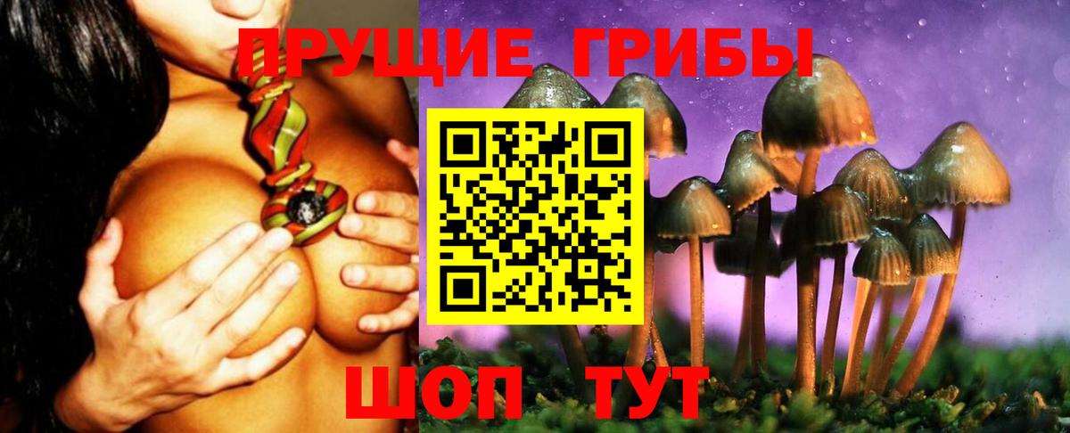 Галлюциногенные грибы Magic Shrooms Дятьково